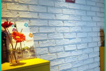 YaKorea Hostel Gangnam Seoul 飯店圖片