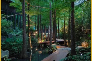 Stay In Forest 台中 飯店圖片
